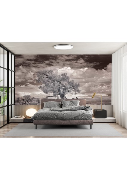 Duvar Kağıdı Yaşlı Ağaç