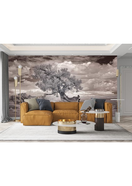 Duvar Kağıdı Yaşlı Ağaç fiyatları