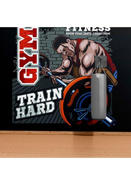 Dekoros tek Parça Gym Duvar Kağıdı modelleri