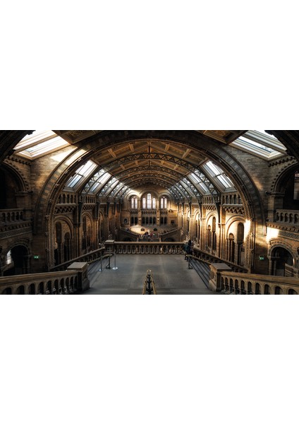 Dekoros tarihi Yapı 3 Boyutlu Poster Duvar Kağıtları fırsatları