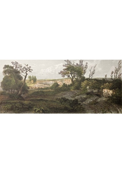 Dekoros tek Parça Doğa Çizimi Ağaçlar Poster Duvar Kağıdı fırsatları