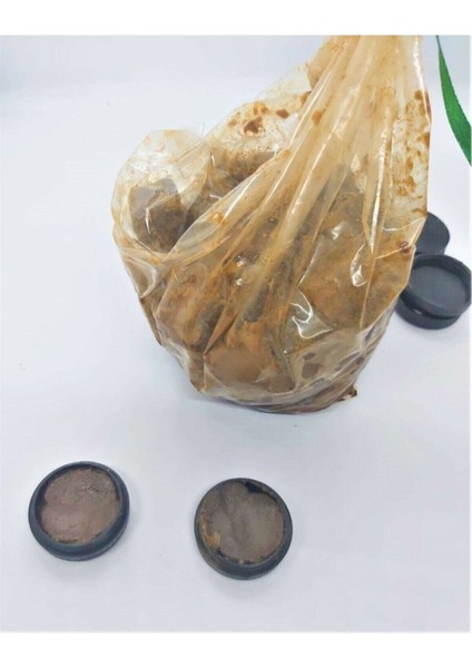 Miski Amber Kokusu - Ceylan Göbeği Kokusu - Katı Krem 5 Gram 2 Adet