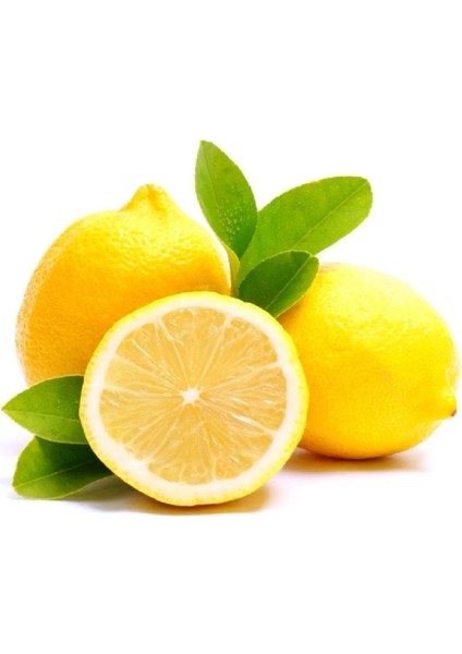 4 Adet Tüplü Mayer Limon Fidanı