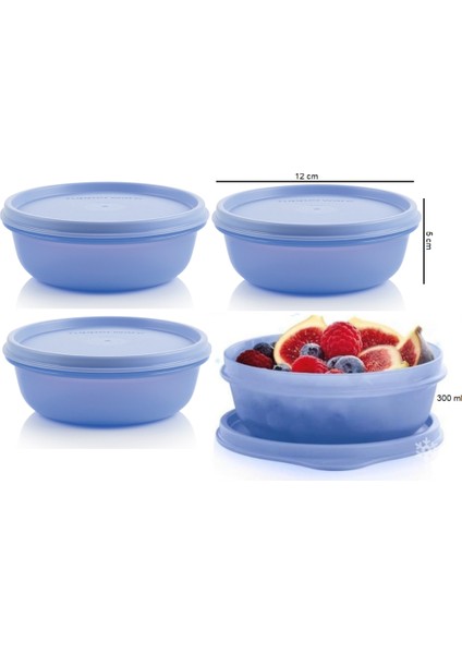 Buzdolabı Saklama Kabı 4X300 ml Şeker Kaplar Hsgl fiyatları