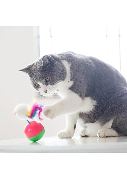 Tüylü Fare Şekilli Hacıyatmaz Kedi Oyuncağı fiyatları