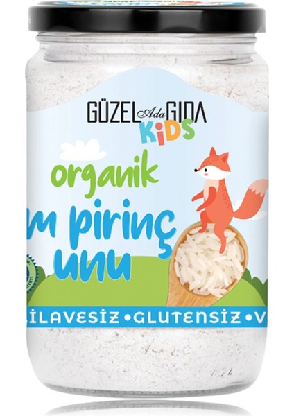 Güzel Ada Gıda Kids Organik Pirinç Unu 400 gr fiyatları