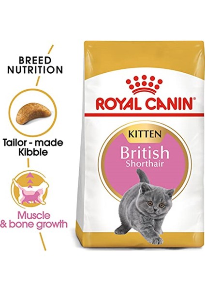 British Shorthair Kitten Kedi Maması, 2 kg fiyatları