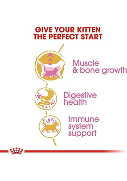 British Shorthair Kitten Kedi Maması, 2 kg modelleri