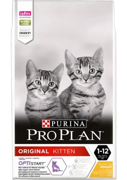 Proplan Junior Tavuklu Yavru Kedi Maması 10 kg