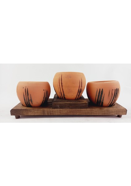 Terracota Model Çoklu Kaktüs Saksısı No 3