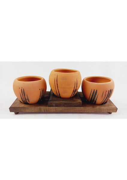 Terracota Model Çoklu Kaktüs Saksısı No 3