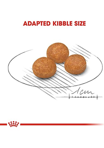 Xsmall Adult Köpek Maması, 1,5 kg fırsatları