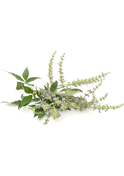 Hayıt Sirkesi 2 x 500 ml