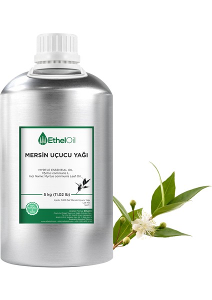 Mersin Uçucu Yağı - Etheloil - 5 kg - %100 Saf ve Doğal Uçucu Yağ - Üretici Firma, Yüksek Kalite, Toptan Satış - Myrtle Essential Oil - Myrtus Communisl.