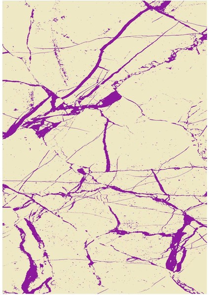 Dijital Baskılı Yıkanabilir Kaymaz Modern Renkli Salon Halısı Mutfak Halısı Yolluk ND-HY-1163