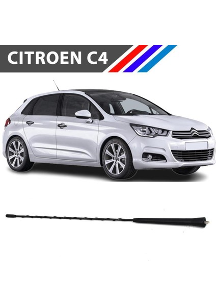 Citroen C4 Tavan Anten Çubuğu 37 cm 6561JS-6587J0