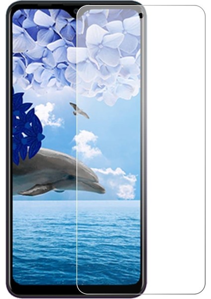 Extreme Reeder P13 Blue Max 2020 Nano Ekran Koruyucu