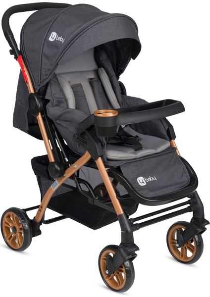 AB-310 Active Gold Çift Yönlü Bebek Arabası Four Baby