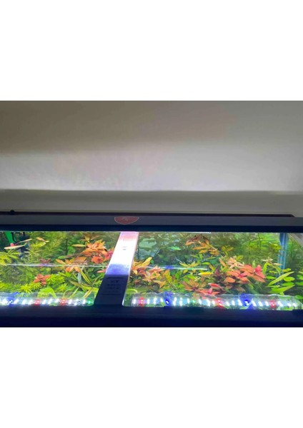 Shark Akvaryum Armatürü Fullspectrum 4 Renk Armatür 3 Sıra Osram Ledli 75 Cm(80-85 cm Uyumlu-3465 lümen)