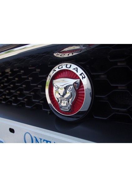 Jaguar Ön Panjur Izgara Panter 3m 3D 70MM Logo