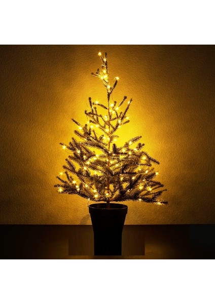 5 Metre Gün Işığı Pilli LED Işık Gün Işığı LED Işık Yılbaşı Ağacı Işığı Noel Işığı Warm Light Christmas LED Parlak Peri LED Işık fırsatları