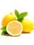 4 Adet Tüplü Mayer Limon Fidanı 4