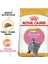 British Shorthair Kitten Kedi Maması, 2 kg 2