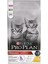 Original Kitten Tavuklu Kuru Kedi Maması, 1.5 kg 1