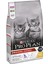 Original Kitten Tavuklu Kuru Kedi Maması, 1.5 kg 2