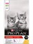Proplan Junior Tavuklu Yavru Kedi Maması 10 kg 1