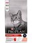 Proplan Somonlu Yetişkin Kedi Maması 1,5 kg 1