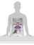 Sensible 33 Kedi Maması, 4 kg 3