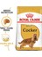 Cocker Adult Köpek Maması, 3 kg 2