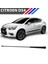 Citroen Ds4 Tavan Anten Çubuğu 37 cm 6561JS-6587J0 2