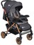 AB-310 Active Gold Çift Yönlü Bebek Arabası Four Baby 1