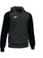 Academy Zip-Up Hoodie Erkek Kapşonlu Hırka 1