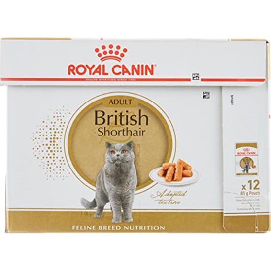 Kitten British Shorthair Double Pack X 12 X 85g British