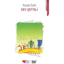 Can Yayınları Roald Dahl Çocuk Edebiyatı Seçkisi 4 Kitap