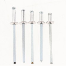 Elegance 1000X Dome Head Perçinler Açık Kör A2 Alüminyum 3 mm. x 12 mm. 3.0 x 12 mm. (Yurt Dışından)