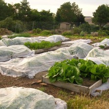 Sera Trend 9,6X50 Metre 19 Gr A Gril Isı Don Örtüsü, Zirai Don Kırağı Örtü Karpuz Çilek Örtüsü, Sera Toprak Örtüsü Elyaf Bitki Koruma Örtüsü