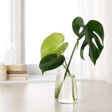 IKEA Karaff Saydam Cam Sürahi