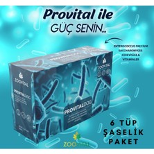 Zoovital Provital Dog Prebiyotik Probiyotik   Tamamlayıcı Yem 6 Şase (6x2 Gr)