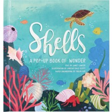 Shells: A Summer Pop-Up Book