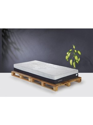 Dream Plus Comfort 100X200 Tek Kişilik Yatak LMN101