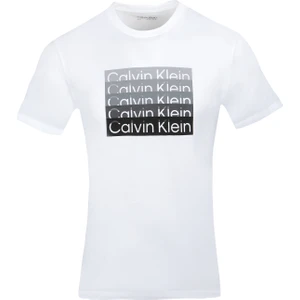 Calvın Kleın Erkek T-Shırt 40IC836-540