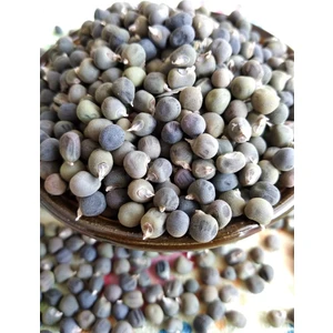 Bamya Tohumu (Açık Tohum – 100GR)