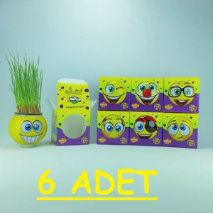 Çim Adam  Çimoji  Kutulu 6 Adet