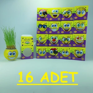 Çim Adam  Çimoji  Kutulu 16 Adet