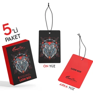 Lion Boi 5’li Paket Asma Oto Kokusu