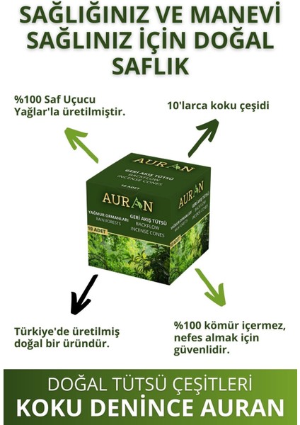 Yağmur Ormanları Rainforest Geri Akış Tütsü Şelale Konik Backflow Incense Cones 10 Adet Pieces fiyatları